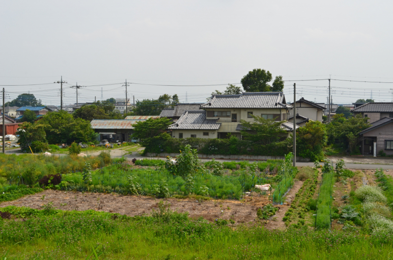 Япония на велосипеде: по горным серпантинам от онсэна до онсэна (около Japan Romantic road)