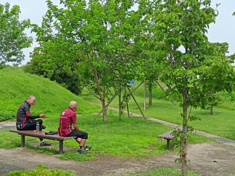 Япония на велосипеде: по горным серпантинам от онсэна до онсэна (около Japan Romantic road)