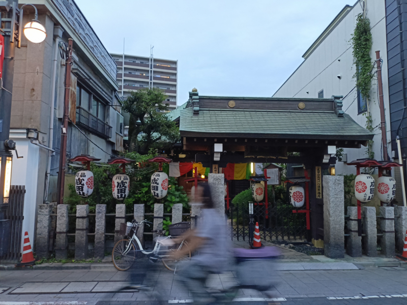 Япония на велосипеде: по горным серпантинам от онсэна до онсэна (около Japan Romantic road)