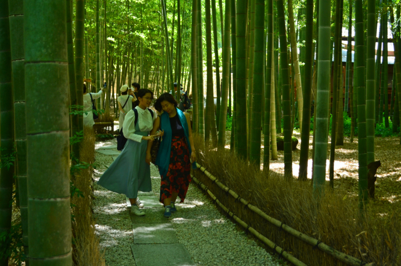 Япония на велосипеде: по горным серпантинам от онсэна до онсэна (около Japan Romantic road)