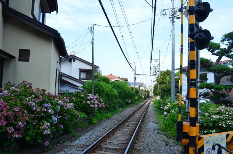 Япония на велосипеде: по горным серпантинам от онсэна до онсэна (около Japan Romantic road)