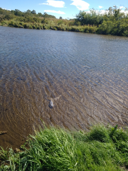 Камчатка, сентябрь 2023