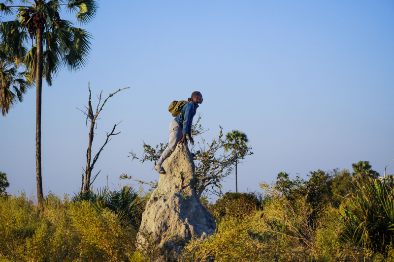 Экономичное сафари по Ботсване: Дельта Окаванго-Мореми-Савути-Чобе-Водопад Виктория