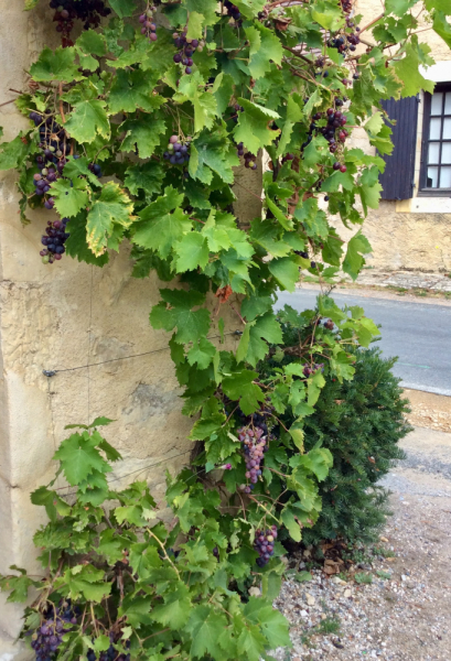 Французские зигзаги. Сентябрь 2019 г.