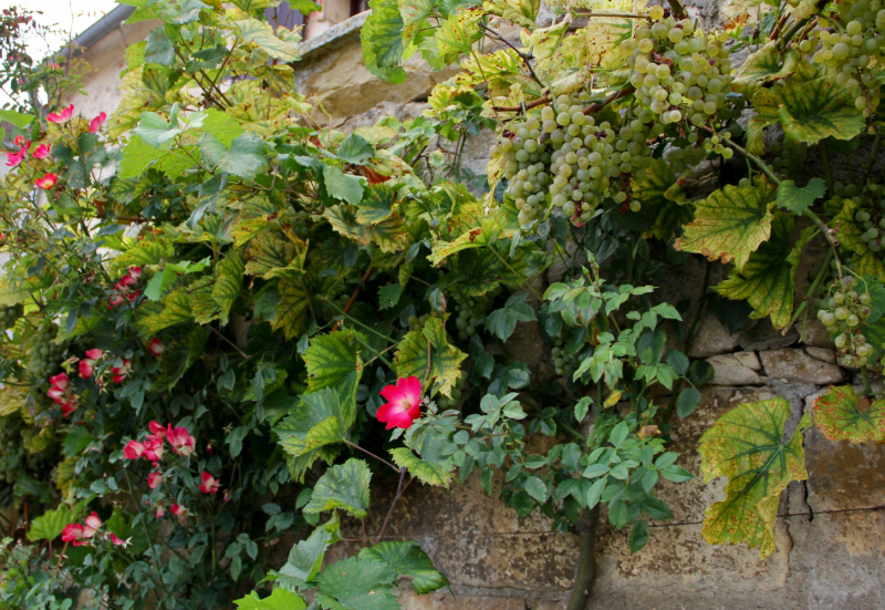 Французские зигзаги. Сентябрь 2019 г.