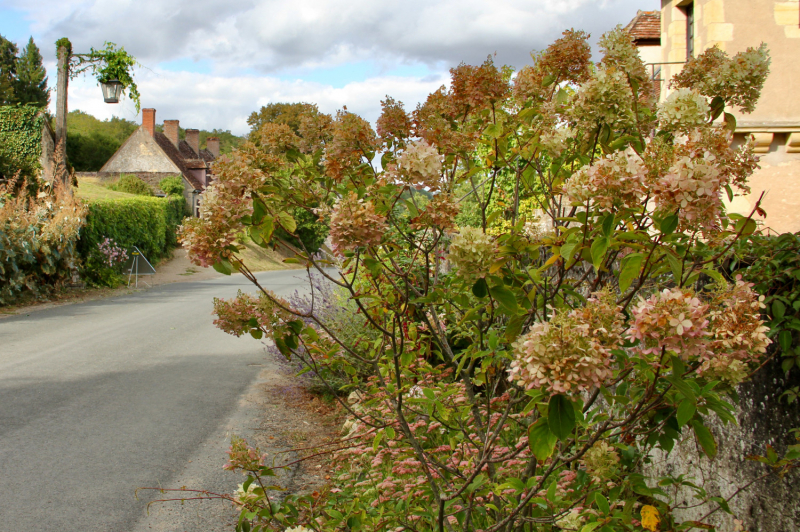 Французские зигзаги. Сентябрь 2019 г.