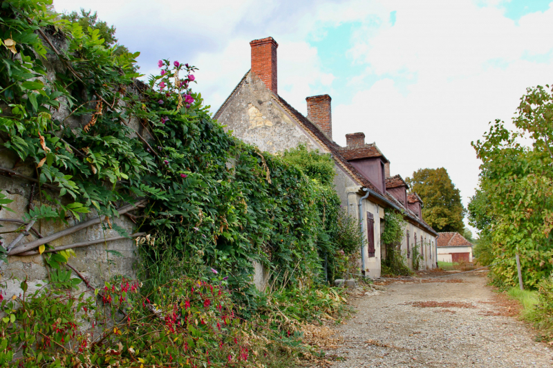 Французские зигзаги. Сентябрь 2019 г.