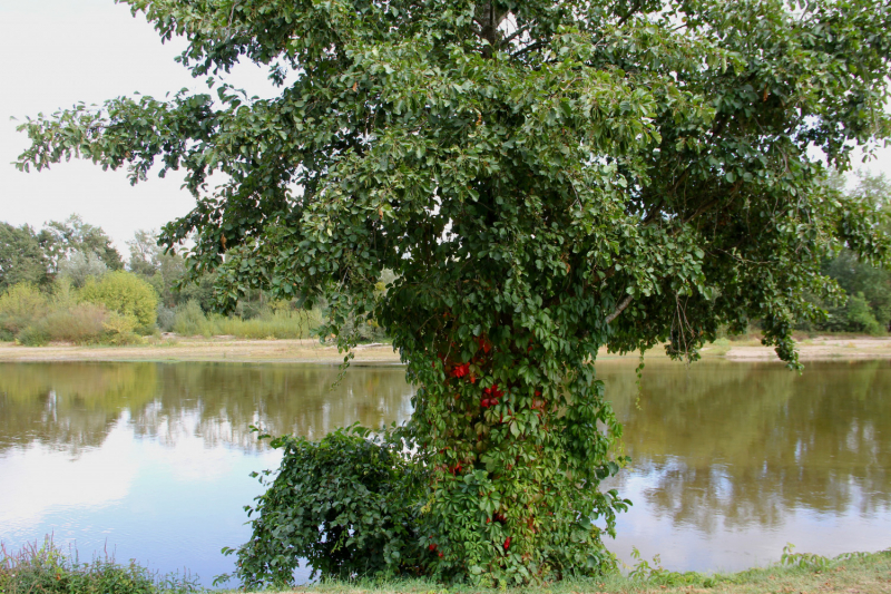 Французские зигзаги. Сентябрь 2019 г.