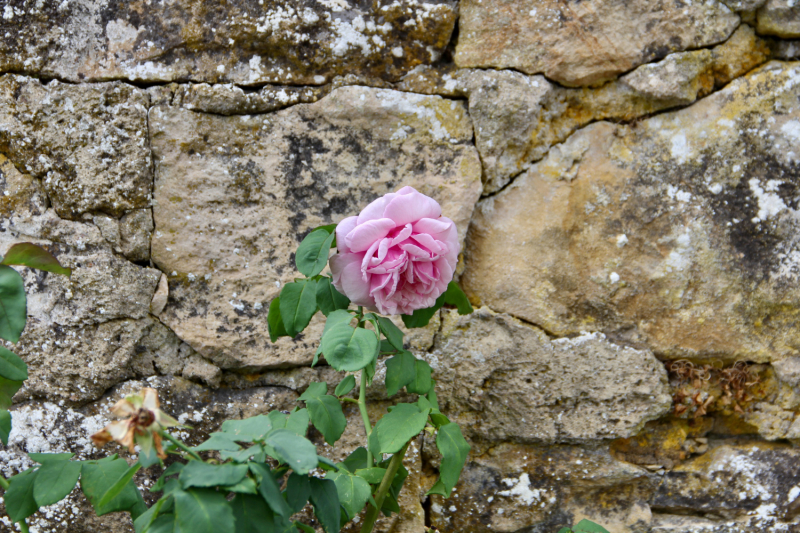 Французские зигзаги. Сентябрь 2019 г.