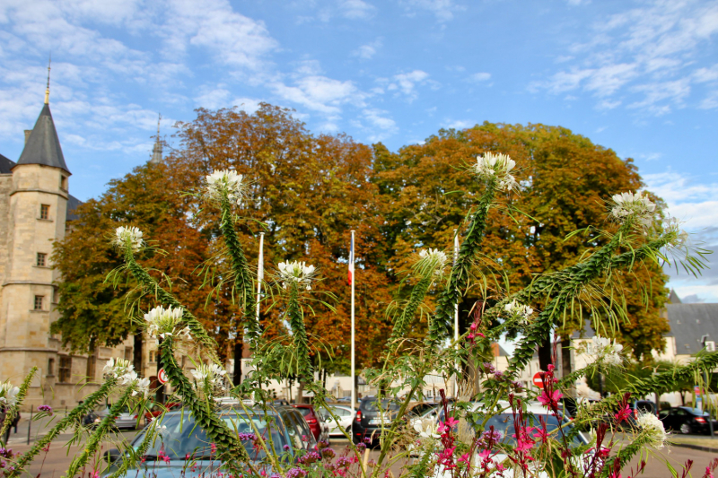 Французские зигзаги. Сентябрь 2019 г.