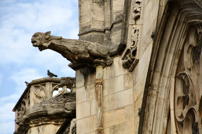 Французские зигзаги. Сентябрь 2019 г.