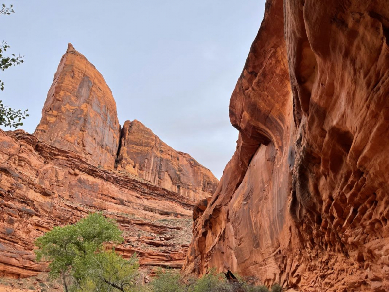 Coyote Gulch