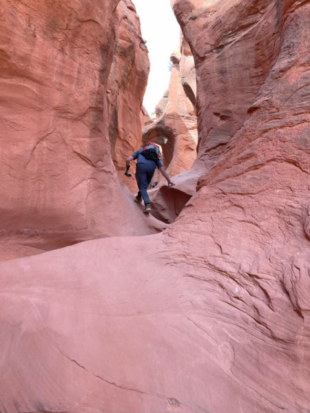Forks hike