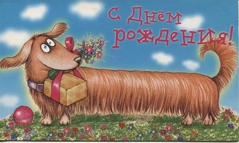 Кошки в нашей жизни. Кошки и все, что с ними связано.