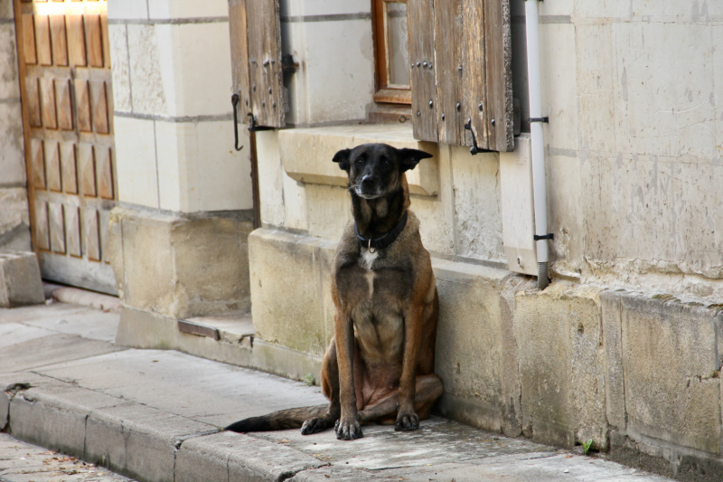Французские зигзаги. Сентябрь 2019 г.