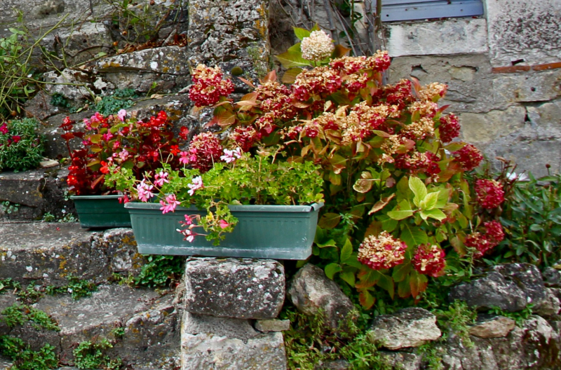 Французские зигзаги. Сентябрь 2019 г.