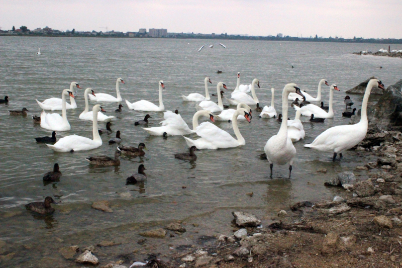 Достопримечательности Крыма: Феодосия, Коктебель, Судак, Нов свет, Ялта, Гурзуф, Ай-Петри. Фиолент Балаклава, Бахчисарай, Алушта, Евпатория, Тарханкут