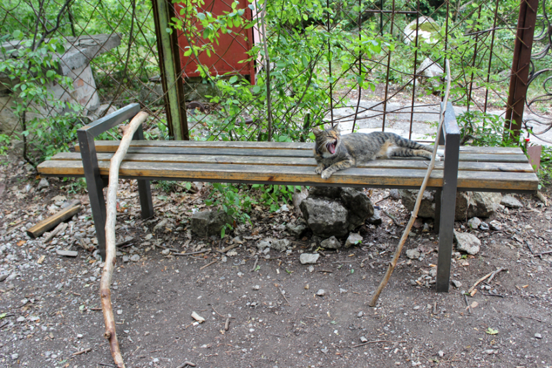 Достопримечательности Крыма: Феодосия, Коктебель, Судак, Нов свет, Ялта, Гурзуф, Ай-Петри. Фиолент Балаклава, Бахчисарай, Алушта, Евпатория, Тарханкут