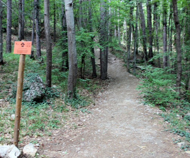 Достопримечательности Крыма: Феодосия, Коктебель, Судак, Нов свет, Ялта, Гурзуф, Ай-Петри. Фиолент Балаклава, Бахчисарай, Алушта, Евпатория, Тарханкут