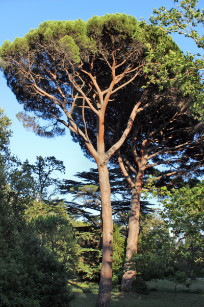 Достопримечательности Крыма: Феодосия, Коктебель, Судак, Нов свет, Ялта, Гурзуф, Ай-Петри. Фиолент Балаклава, Бахчисарай, Алушта, Евпатория, Тарханкут