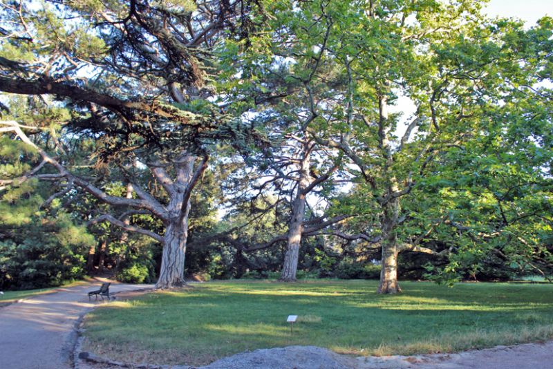 Достопримечательности Крыма: Феодосия, Коктебель, Судак, Нов свет, Ялта, Гурзуф, Ай-Петри. Фиолент Балаклава, Бахчисарай, Алушта, Евпатория, Тарханкут