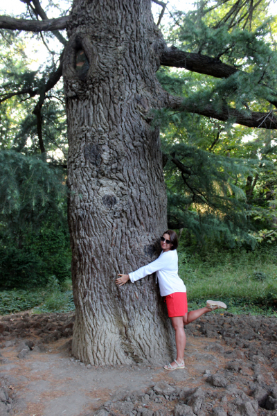 Достопримечательности Крыма: Феодосия, Коктебель, Судак, Нов свет, Ялта, Гурзуф, Ай-Петри. Фиолент Балаклава, Бахчисарай, Алушта, Евпатория, Тарханкут