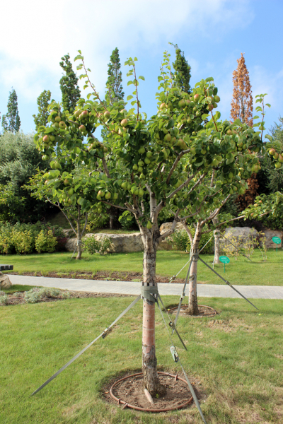 Достопримечательности Крыма: Феодосия, Коктебель, Судак, Нов свет, Ялта, Гурзуф, Ай-Петри. Фиолент Балаклава, Бахчисарай, Алушта, Евпатория, Тарханкут