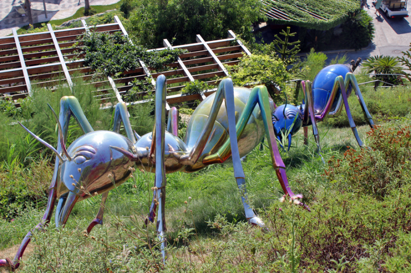 Достопримечательности Крыма: Феодосия, Коктебель, Судак, Нов свет, Ялта, Гурзуф, Ай-Петри. Фиолент Балаклава, Бахчисарай, Алушта, Евпатория, Тарханкут