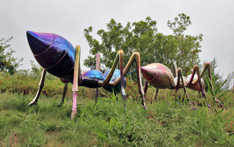 Достопримечательности Крыма: Феодосия, Коктебель, Судак, Нов свет, Ялта, Гурзуф, Ай-Петри. Фиолент Балаклава, Бахчисарай, Алушта, Евпатория, Тарханкут