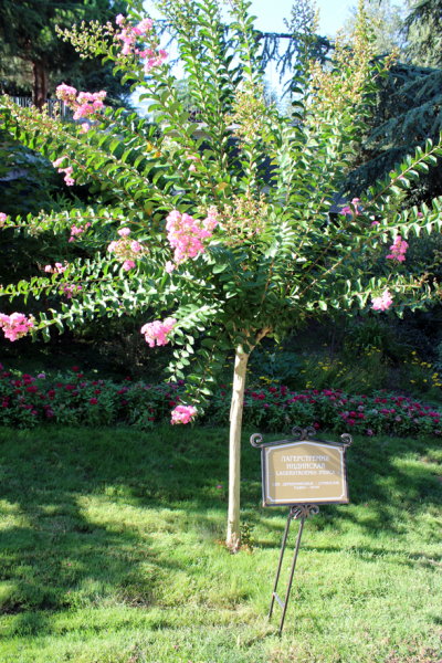 Достопримечательности Крыма: Феодосия, Коктебель, Судак, Нов свет, Ялта, Гурзуф, Ай-Петри. Фиолент Балаклава, Бахчисарай, Алушта, Евпатория, Тарханкут