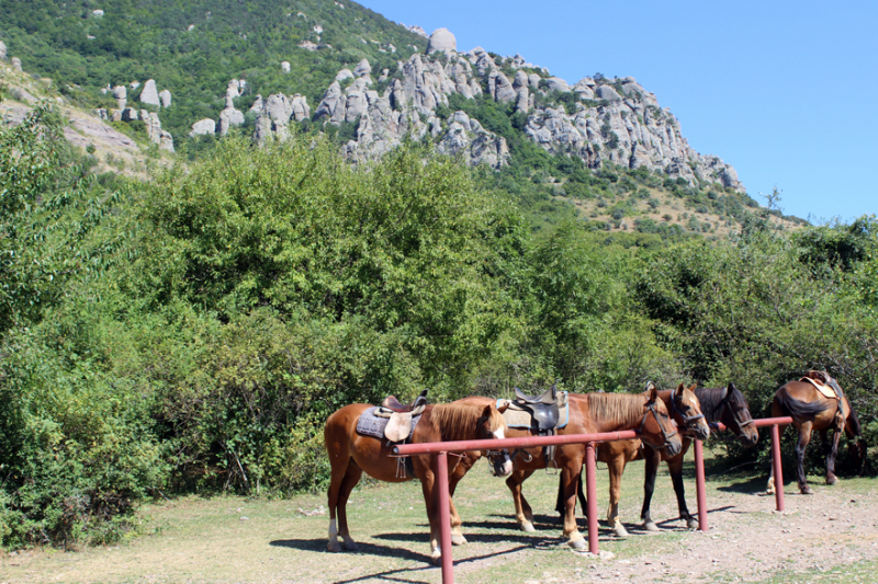 Достопримечательности Крыма: Феодосия, Коктебель, Судак, Нов свет, Ялта, Гурзуф, Ай-Петри. Фиолент Балаклава, Бахчисарай, Алушта, Евпатория, Тарханкут