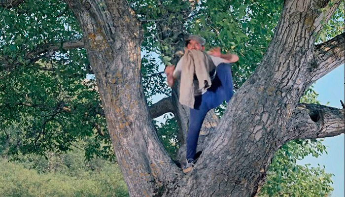 Достопримечательности Крыма: Феодосия, Коктебель, Судак, Нов свет, Ялта, Гурзуф, Ай-Петри. Фиолент Балаклава, Бахчисарай, Алушта, Евпатория, Тарханкут