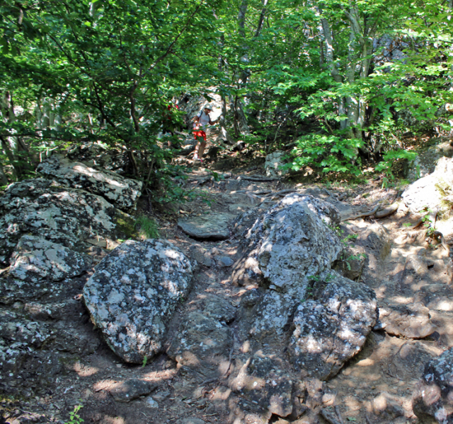 Достопримечательности Крыма: Феодосия, Коктебель, Судак, Нов свет, Ялта, Гурзуф, Ай-Петри. Фиолент Балаклава, Бахчисарай, Алушта, Евпатория, Тарханкут