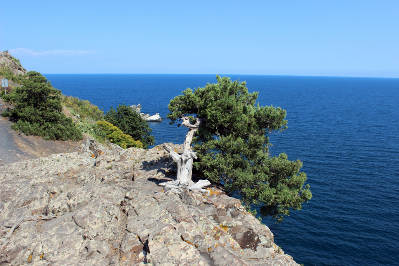 Достопримечательности Крыма: Феодосия, Коктебель, Судак, Нов свет, Ялта, Гурзуф, Ай-Петри. Фиолент Балаклава, Бахчисарай, Алушта, Евпатория, Тарханкут