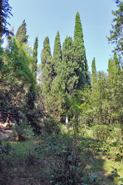 Достопримечательности Крыма: Феодосия, Коктебель, Судак, Нов свет, Ялта, Гурзуф, Ай-Петри. Фиолент Балаклава, Бахчисарай, Алушта, Евпатория, Тарханкут