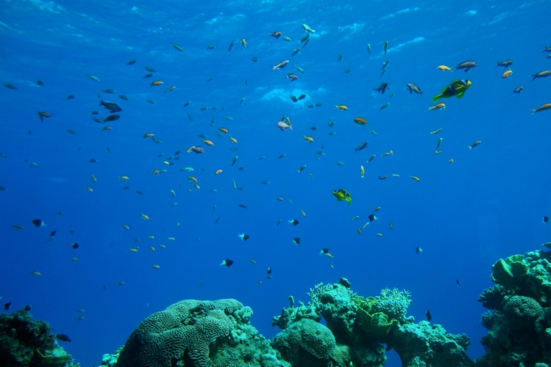 Израиль в несезон: Иерусалим – Вифлеем - Бейт-Гуврин - Сент-Джордж – Эйлат – Тель-Авив