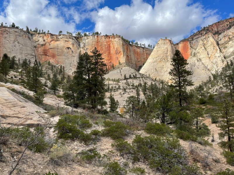 Zion
