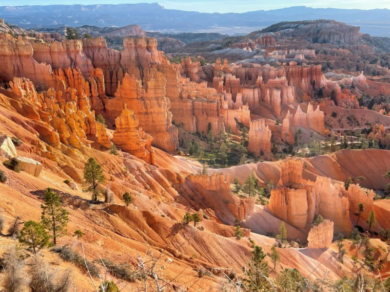 Bryce