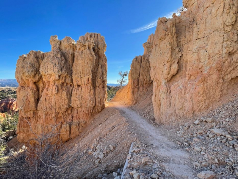 Bryce