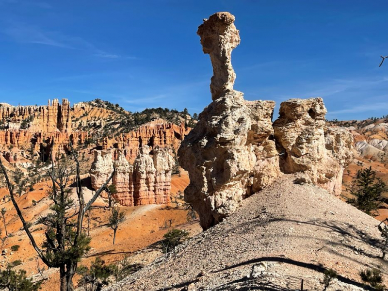 Bryce