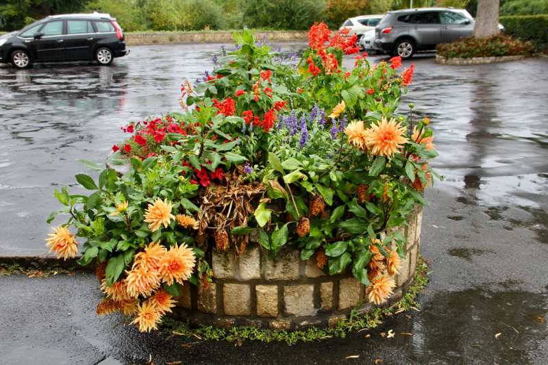 Французские зигзаги. Сентябрь 2019 г.