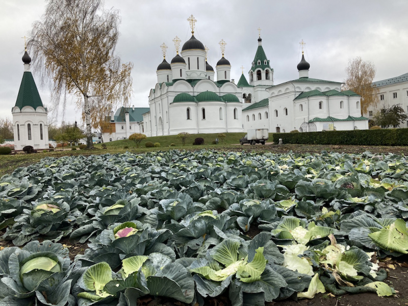 В Муром, Арзамас, Болдино на машине. Октябрь 2023