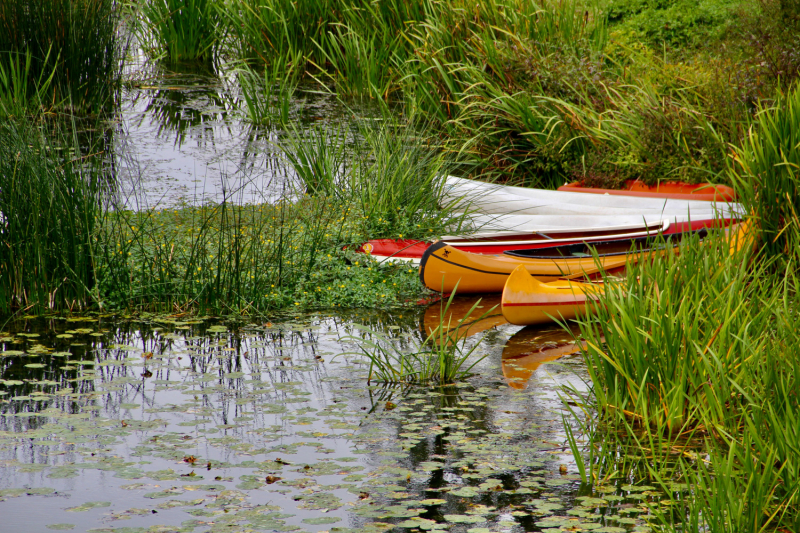 Французские зигзаги. Сентябрь 2019 г.