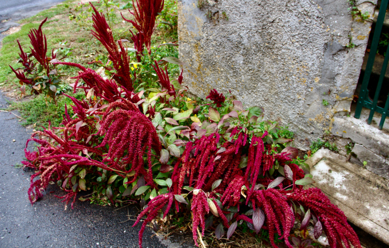 Французские зигзаги. Сентябрь 2019 г.