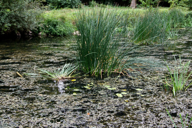 Французские зигзаги. Сентябрь 2019 г.