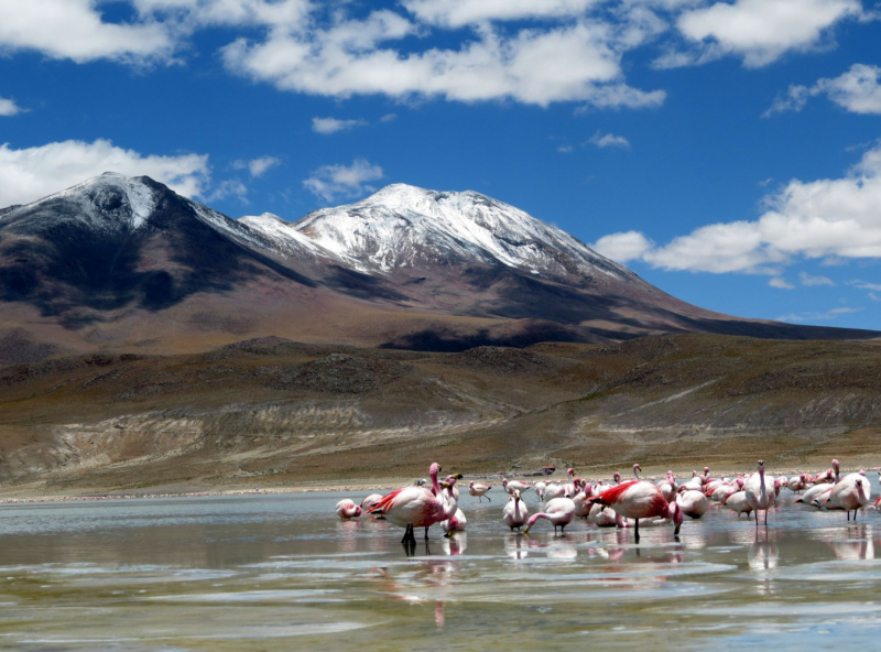 Боливия-2023. Горы, пустыни, пампасы и прочие прелести