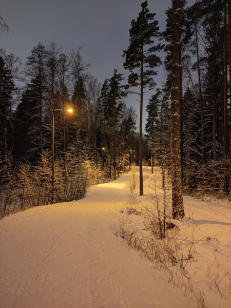 Финляндия: 6° до полярного круга