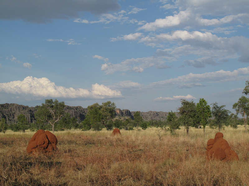 Западная Австралия на джипе: Broome - Кимберли - Gibb Road - Purnululu