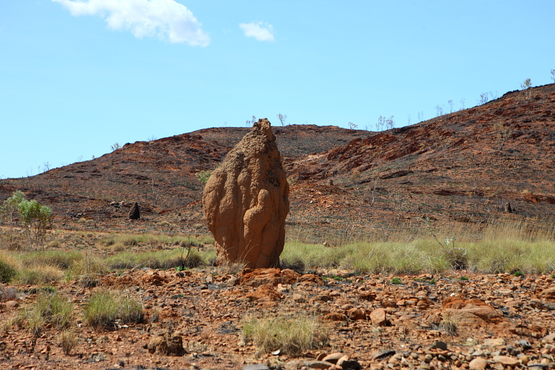 Западная Австралия на джипе: Broome - Кимберли - Gibb Road - Purnululu