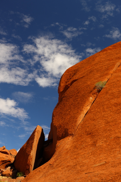 Западная Австралия на джипе: Broome - Кимберли - Gibb Road - Purnululu